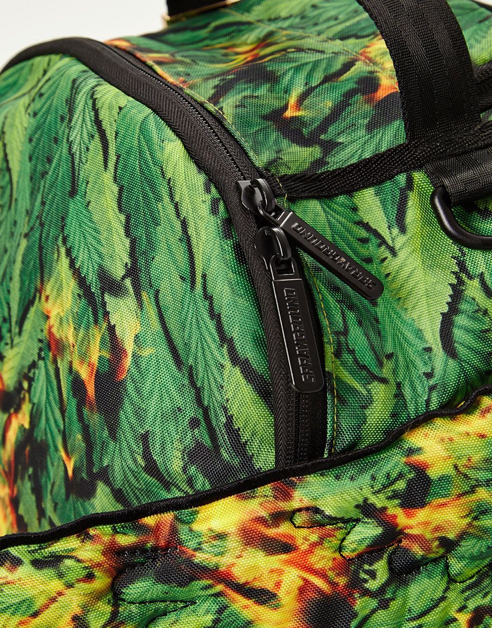 WINGS OF PARADISE